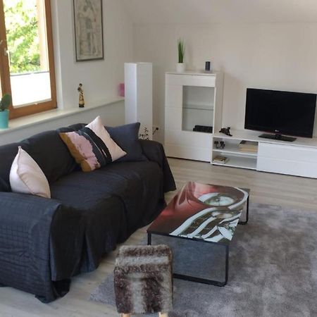 Appartement Haus Rebblick à Offenbourg Extérieur photo